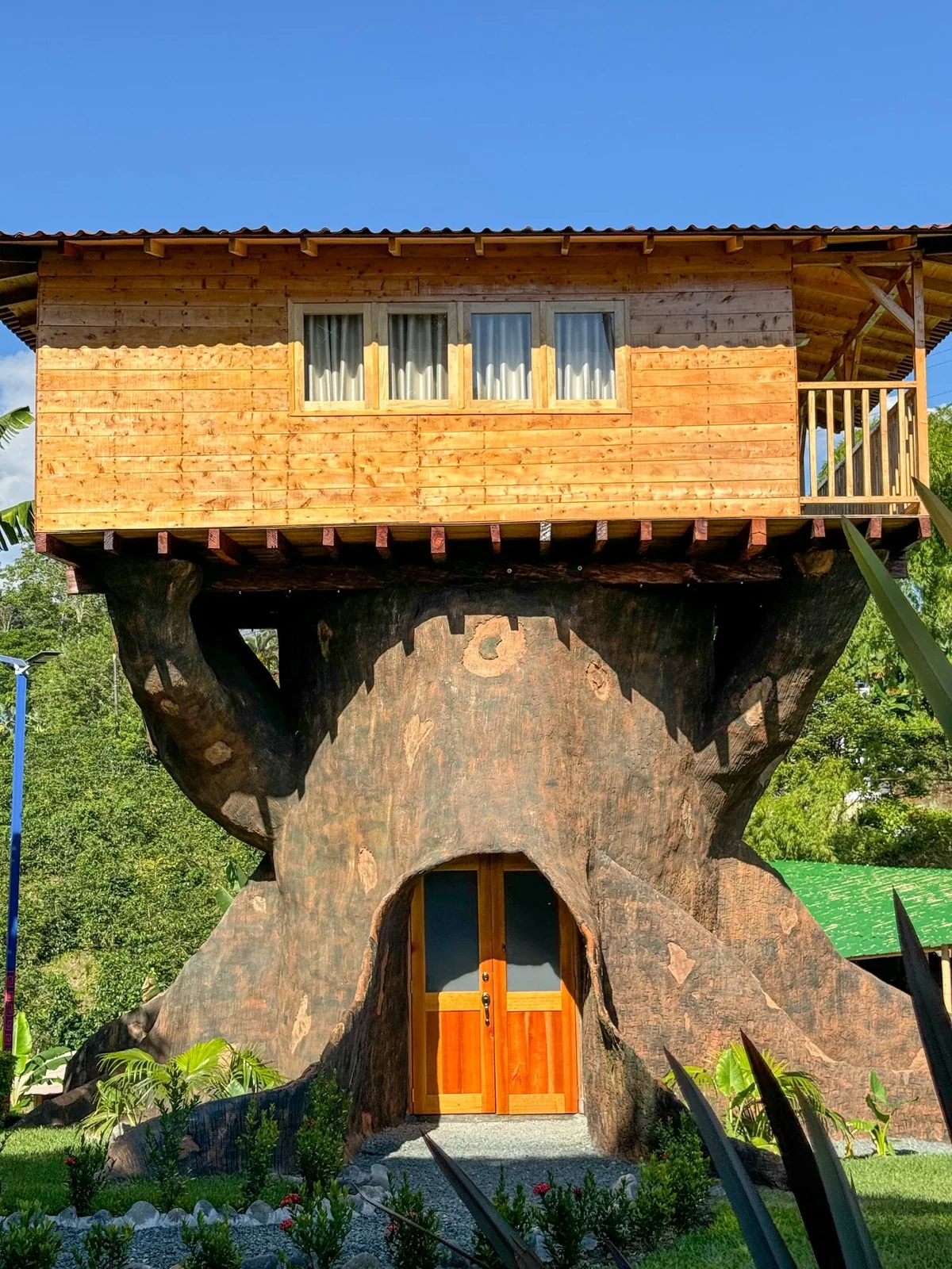 La Casa del Árbol, con su cabaña elevada y el tronco completo
