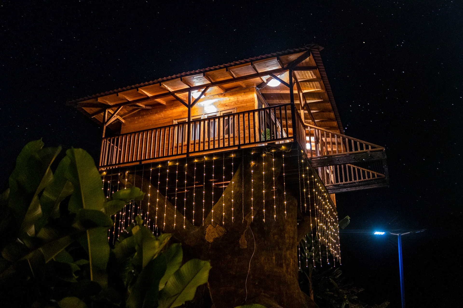 La Casa del Árbol iluminada por la noche, con su cabaña de madera elevada alrededor del tronco